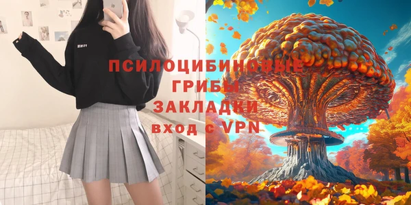 спиды Нея